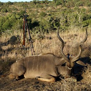 My Cape Kudu