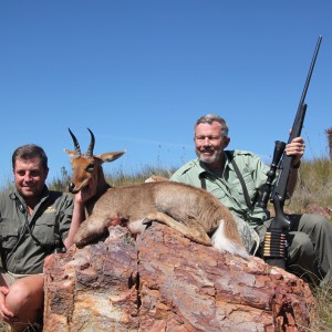 Mountain Reedbuck