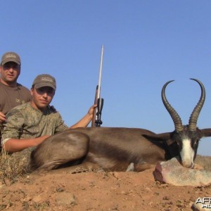 Black Springbok