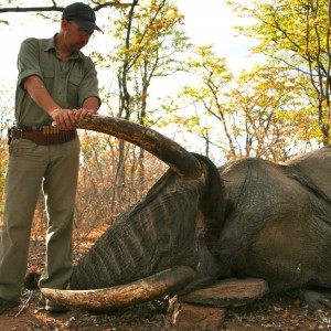 Zimbabwe Elephant 2012