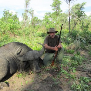 Buffalo from Nyamazana Safaris Zimbabwe