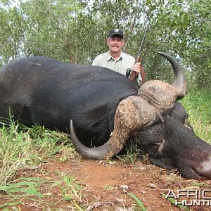 Buffalo 2015 Bulls with Spear safaris