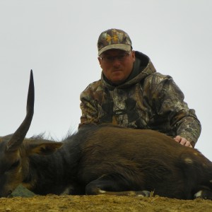 Bushbuck KMG Hunting Safaris