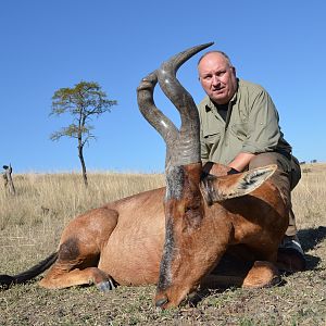 Hartebeest KMG Hunting Safaris