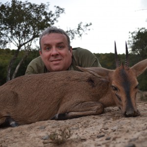 Duiker KMG Hunting Safaris