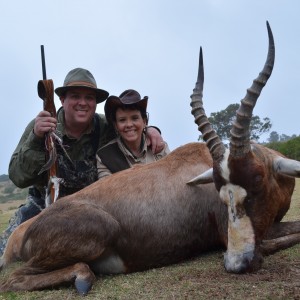 Blesbok KMG Hunting Safaris