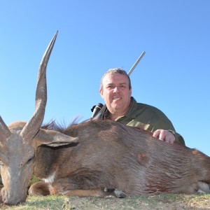 Bushbuck KMG Hunting Safaris