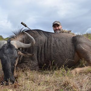 Blue Wildebeest KMG Hunting Safaris