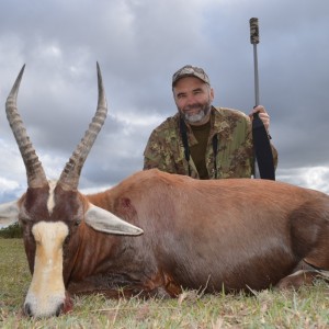 Blesbok KMG Hunting Safaris