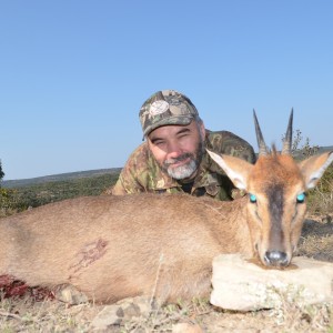 Duiker KMG Hunting Safaris