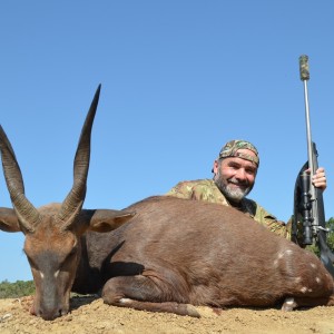 Bushbuck KMG Hunting Safaris