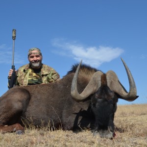 Black Wildebeest KMG Hunting Safaris