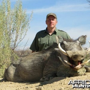 Warthog hunted at Westfalen Hunting Safaris Namibia