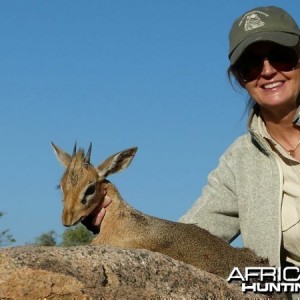 Damara Dik-Dik hunted at Westfalen Hunting Safaris Namibia