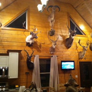 Trophy room