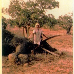 Elephant Ali, Somali gunbearer