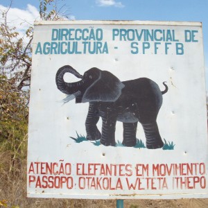 Road sign in northern Mozambique