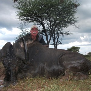 Black Wildebeest hunted with Ozondjahe Hunting Safaris in Namibia