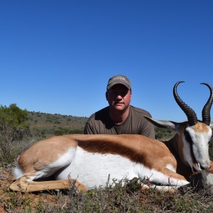 Springbok