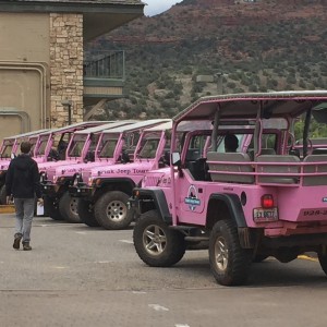 Pink Jeep