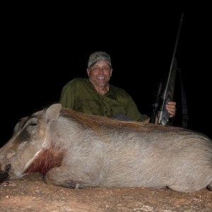 Warthog South Africa 2015