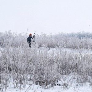 Hunting Romania