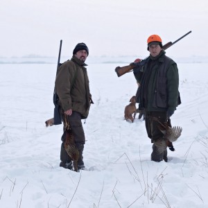 Hunting Pheasant Romania