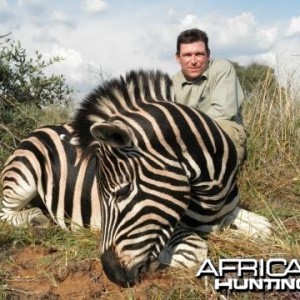 Zebra Limpopo 2011