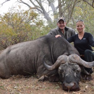 Buffalo South-Africa