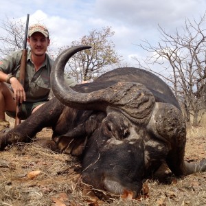 Buffalo hunt