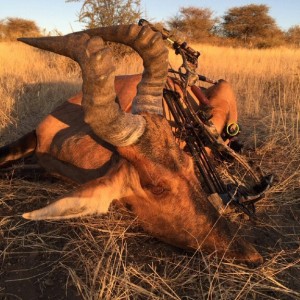 Namibia bow hunting