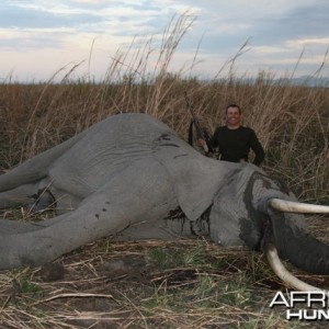 Elephant Hunting Tanzania