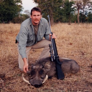 Terry Wagner Warthog - Zimbabwe