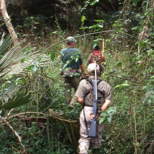 Hunting in Mozambique