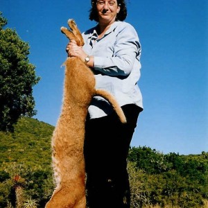 Hunting Caracal with Hounds in the Eastern Cape