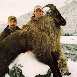 Tahr '06 - New Zealand