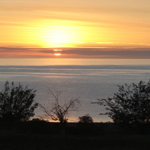 Arnhemland scenery & wildlife.