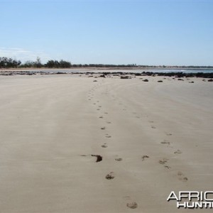 Remote Beach of Arnhemland, Australia