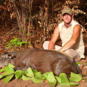 Yellow Backed Duiker, 71 kg, taken in CAR