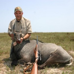 Hunting Nilgai in US