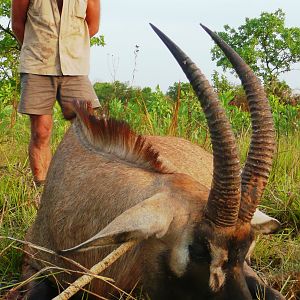 Roan bull 26' inches hunted in Central African Republic