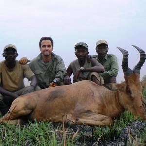 Lelwel hartebeest taken in CAR