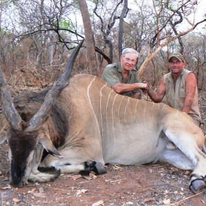 Very old, worn down Derby eland, hunted in CAR