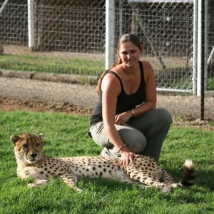 Safaris Excursions & Tours