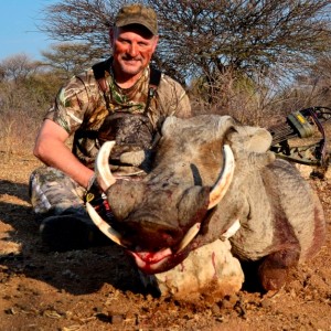 Warthog - Namibia