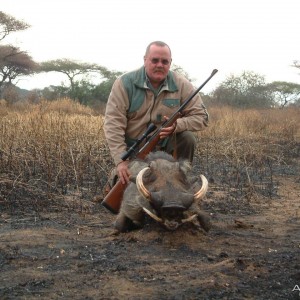Warthog Tanzania - 15 1/2 "