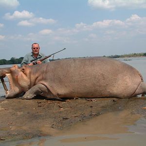 Hippo Tanzania