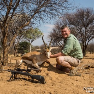 Springbok 14 inches