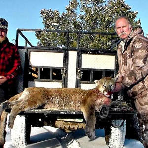 Colorado Mtn Lion w/ JT Robbins