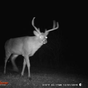 2015 Trail Cam